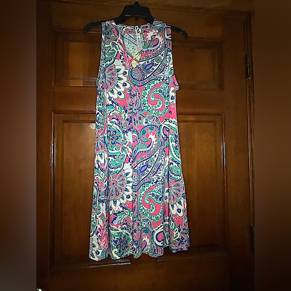 NWT PaisleyGrace Bright Eyed Girl Dress Large.